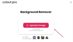 Cutout Pro background remover